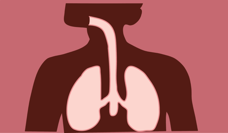 respiratory system, respiratory, body-4869736.jpg